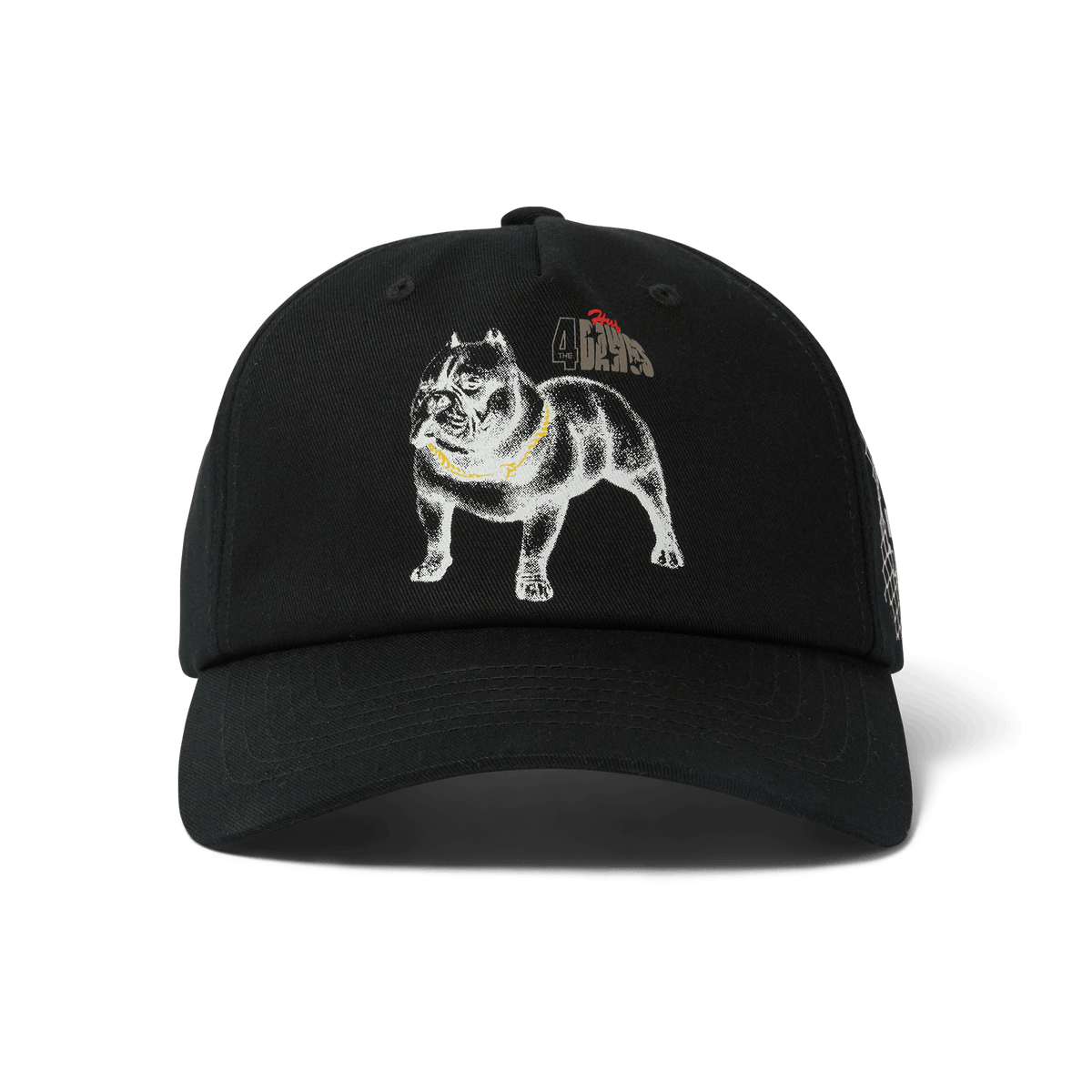 4 The Dawgs Snapback Hat