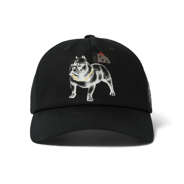 4 The Dawgs Snapback Hat
