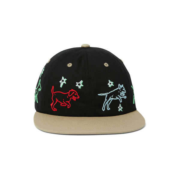 Fetch 6 Panel Snapback Hat