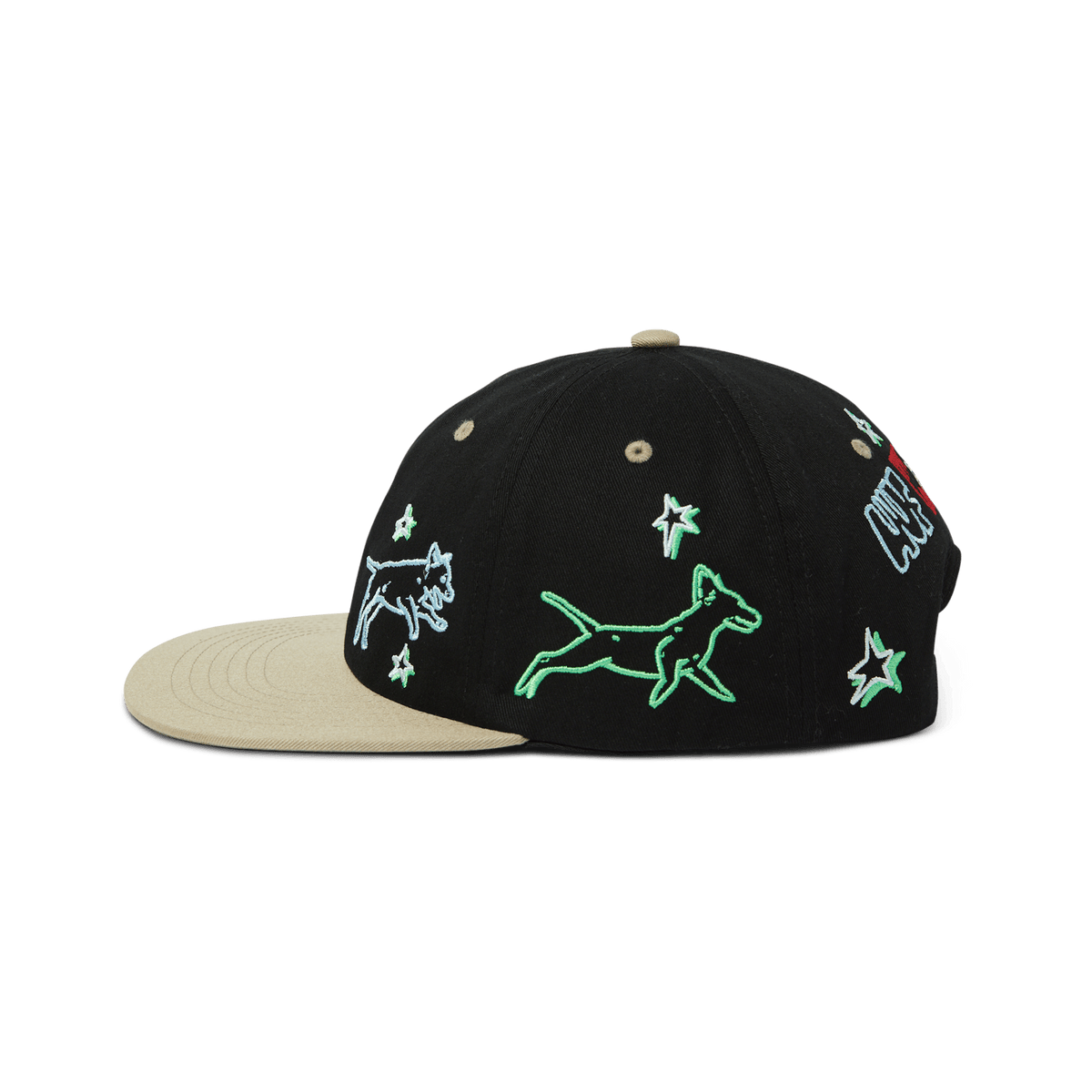 Fetch 6 Panel Snapback Hat