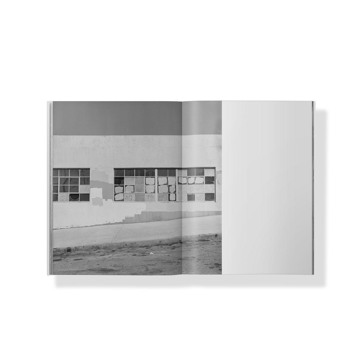 On A Mission Book