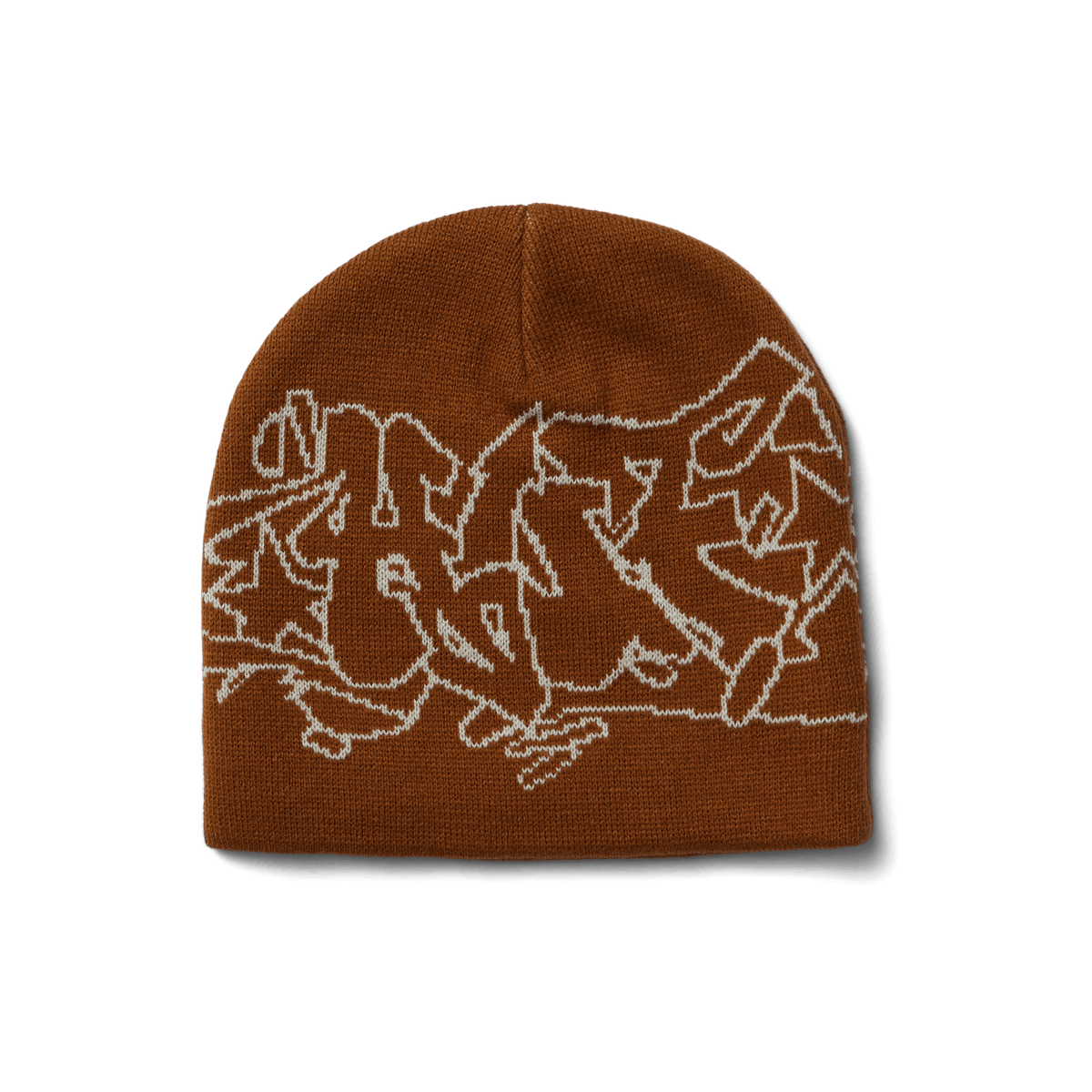 Outlines Skull Beanie