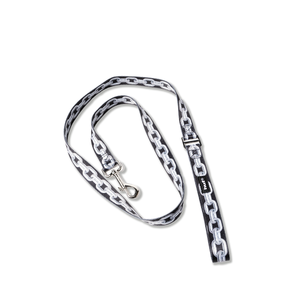 Unchained Dog Leash