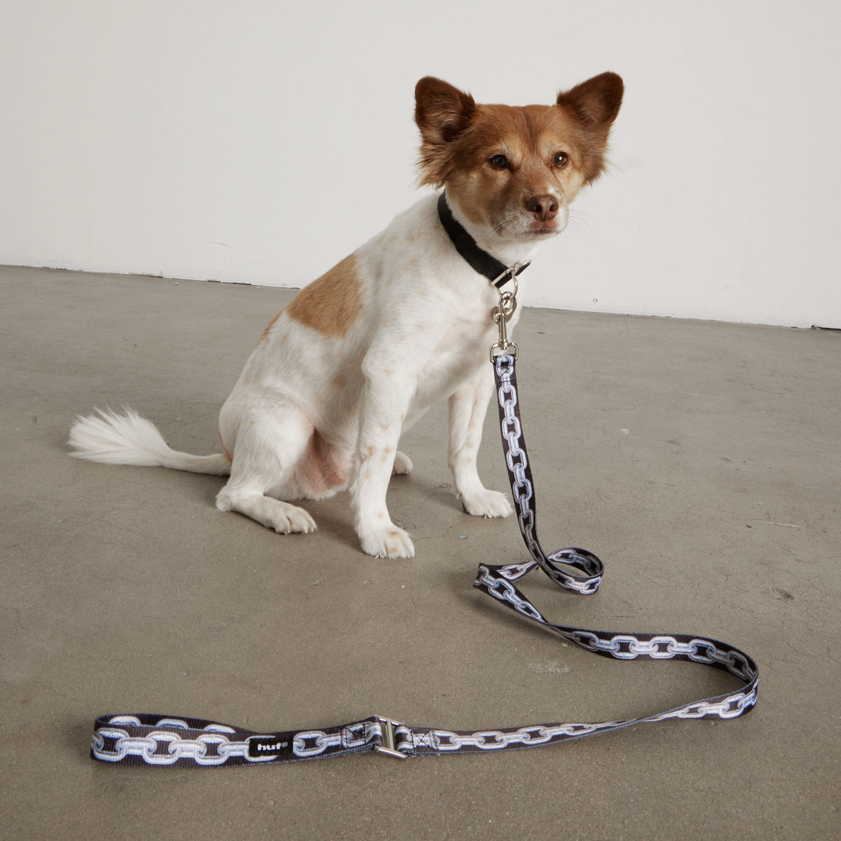 Unchained Dog Leash